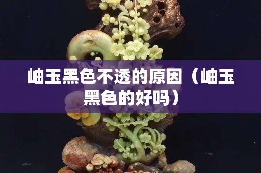 岫玉黑色不透的原因（岫玉黑色的好嗎）