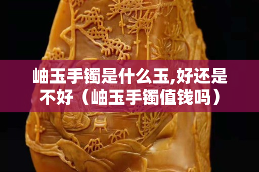 岫玉手鐲是什么玉,好還是不好（岫玉手鐲值錢嗎）