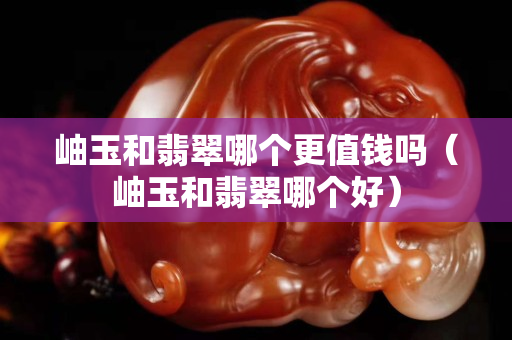 岫玉和翡翠哪個更值錢嗎（岫玉和翡翠哪個好）
