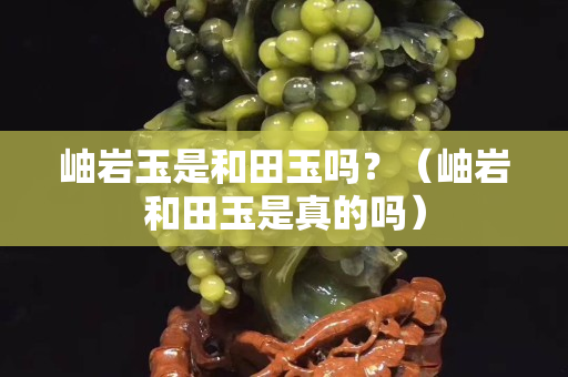 岫巖玉是和田玉嗎？（岫巖和田玉是真的嗎）