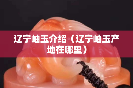 遼寧岫玉介紹（遼寧岫玉產(chǎn)地在哪里）