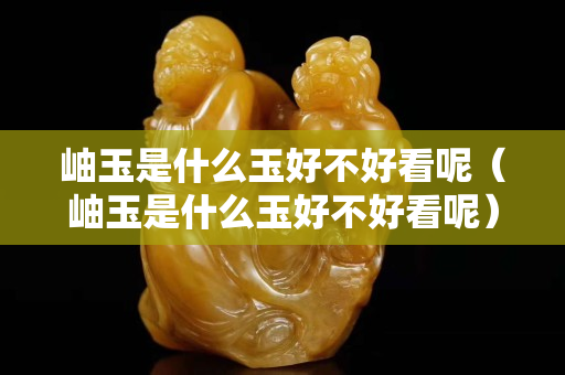 岫玉是什么玉好不好看呢（岫玉是什么玉好不好看呢）