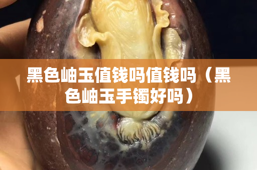 黑色岫玉值錢嗎值錢嗎（黑色岫玉手鐲好嗎）