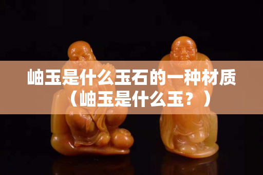 岫玉是什么玉石的一種材質（岫玉是什么玉？）