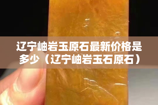 遼寧岫巖玉原石最新價格是多少（遼寧岫巖玉石原石）