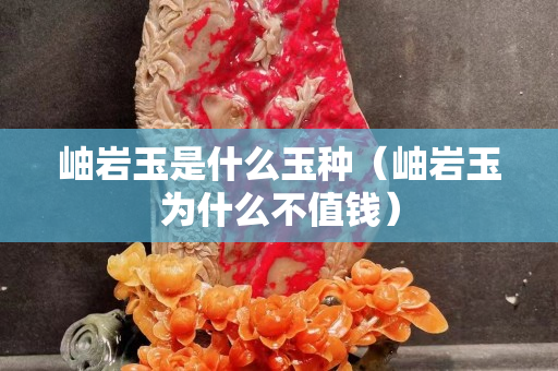 岫巖玉是什么玉種（岫巖玉為什么不值錢）