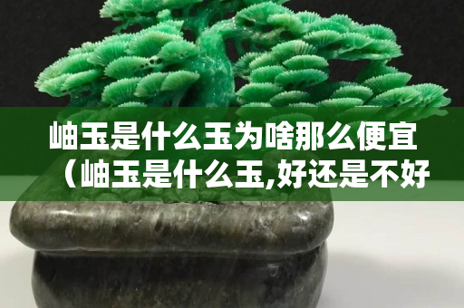 岫玉是什么玉為啥那么便宜（岫玉是什么玉,好還是不好）