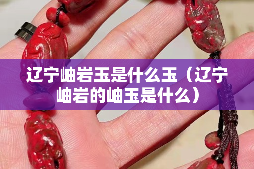 遼寧岫巖玉是什么玉（遼寧岫巖的岫玉是什么）