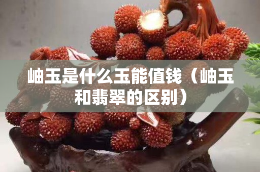岫玉是什么玉能值錢（岫玉和翡翠的區別）