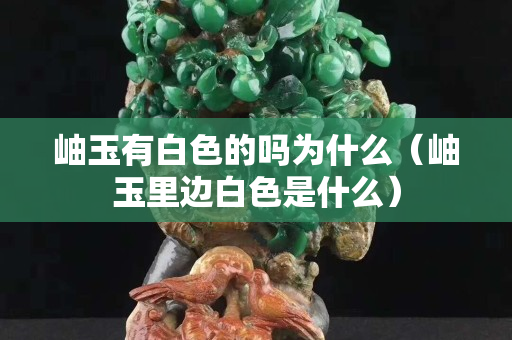 岫玉有白色的嗎為什么（岫玉里邊白色是什么）