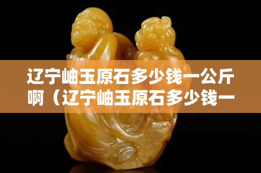 遼寧岫玉原石多少錢一公斤啊（遼寧岫玉原石多少錢一公斤啊圖片）