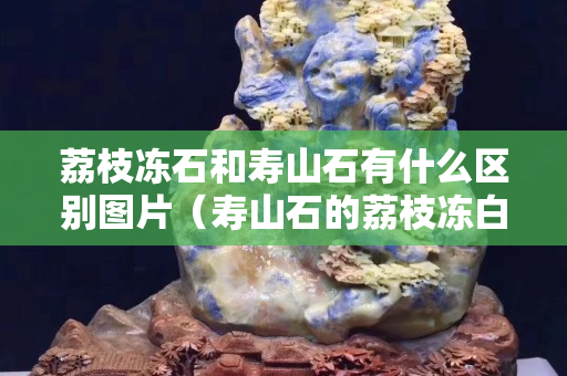 荔枝凍石和壽山石有什么區別圖片（壽山石的荔枝凍白色的貴不貴）