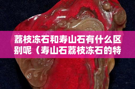 荔枝凍石和壽山石有什么區(qū)別呢（壽山石荔枝凍石的特征）