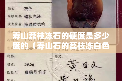壽山荔枝凍石的硬度是多少度的（壽山石的荔枝凍白色的貴不貴）