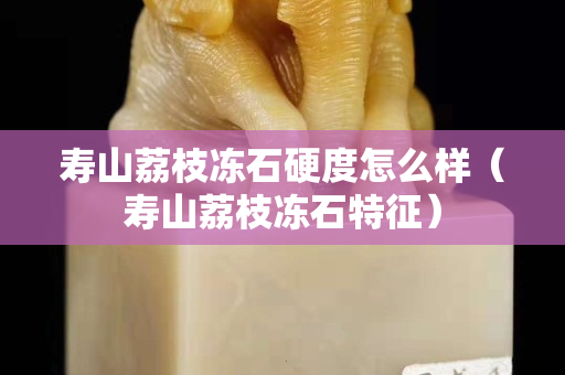 壽山荔枝凍石硬度怎么樣（壽山荔枝凍石特征）
