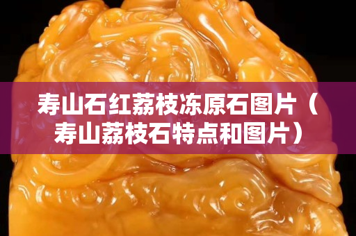 壽山石紅荔枝凍原石圖片（壽山荔枝石特點和圖片）