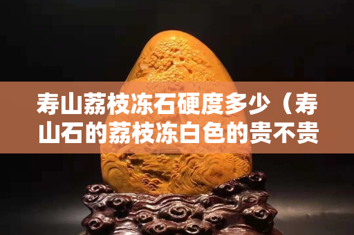 壽山荔枝凍石硬度多少（壽山石的荔枝凍白色的貴不貴）