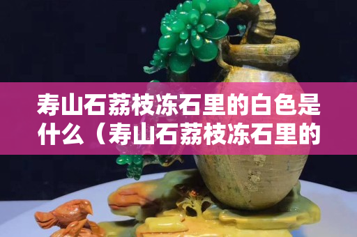 壽山石荔枝凍石里的白色是什么（壽山石荔枝凍石里的白色是什么東西）