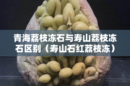 青海荔枝凍石與壽山荔枝凍石區別（壽山石紅荔枝凍）