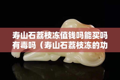 壽山石荔枝凍值錢嗎能買嗎有毒嗎（壽山石荔枝凍的功效與作用）