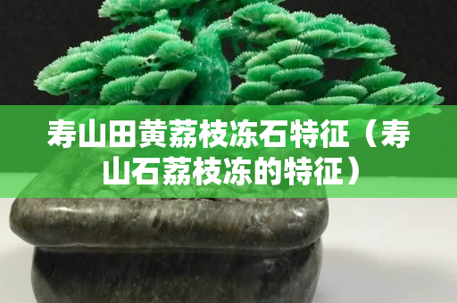 壽山田黃荔枝凍石特征（壽山石荔枝凍的特征）