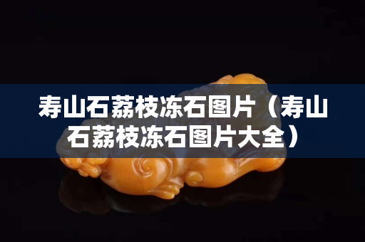 壽山石荔枝凍石圖片（壽山石荔枝凍石圖片大全）