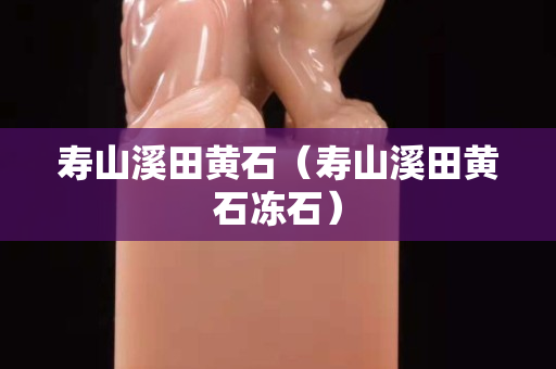 壽山溪田黃石（壽山溪田黃石凍石）