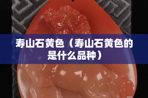 壽山石黃色（壽山石黃色的是什么品種）