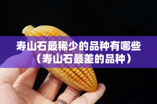 壽山石最稀少的品種有哪些（壽山石最差的品種）