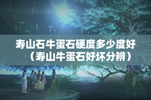 壽山石牛蛋石硬度多少度好（壽山牛蛋石好壞分辨）