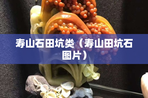 壽山石田坑類（壽山田坑石圖片）