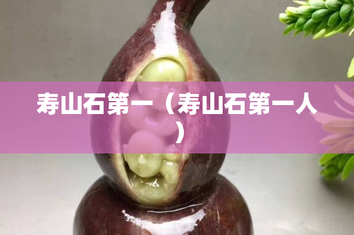 壽山石第一（壽山石第一人）