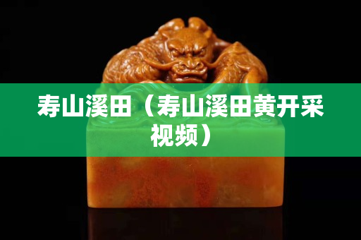 壽山溪田（壽山溪田黃開采視頻）