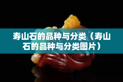 壽山石的品種與分類（壽山石的品種與分類圖片）