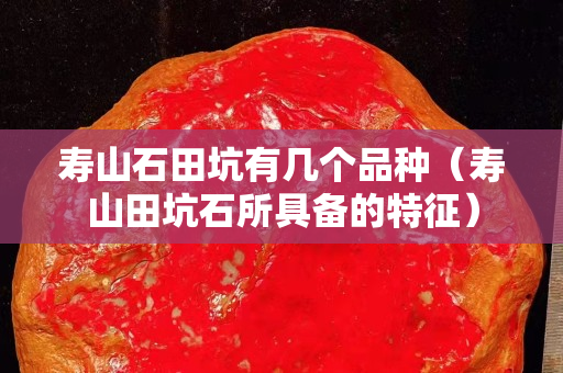 壽山石田坑有幾個品種（壽山田坑石所具備的特征）