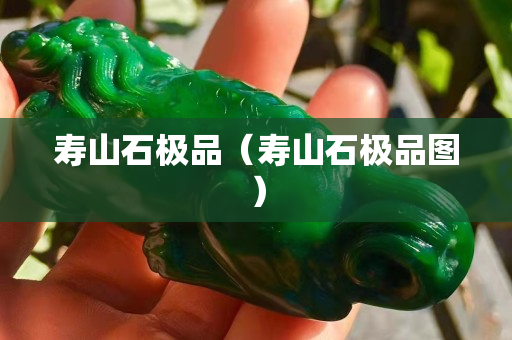壽山石極品（壽山石極品圖）