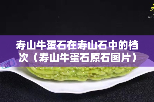 壽山牛蛋石在壽山石中的檔次（壽山牛蛋石原石圖片）