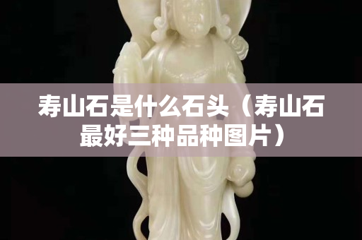 壽山石是什么石頭（壽山石最好三種品種圖片）