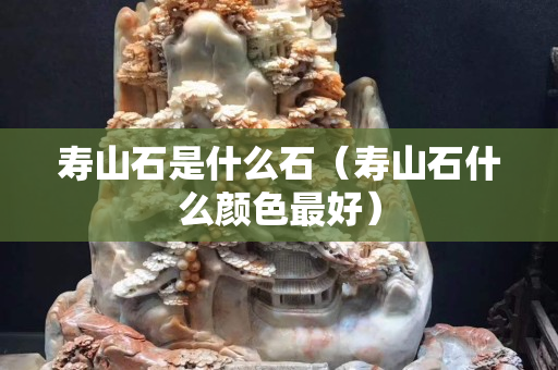 壽山石是什么石（壽山石什么顏色最好）