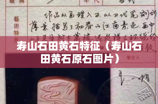壽山石田黃石特征（壽山石田黃石原石圖片）