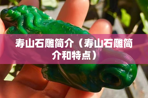 壽山石雕簡介（壽山石雕簡介和特點）
