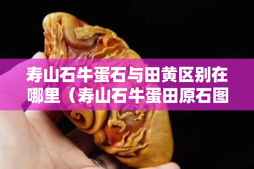 壽山石牛蛋石與田黃區別在哪里（壽山石牛蛋田原石圖片）