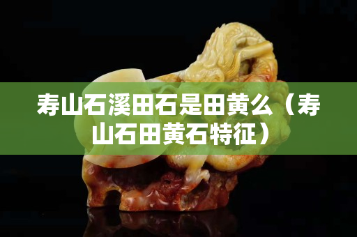 壽山石溪田石是田黃么（壽山石田黃石特征）