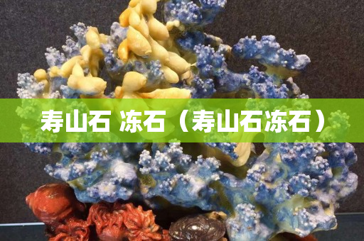 壽山石 凍石（壽山石凍石）