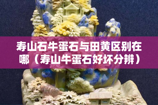 壽山石牛蛋石與田黃區別在哪（壽山牛蛋石好壞分辨）