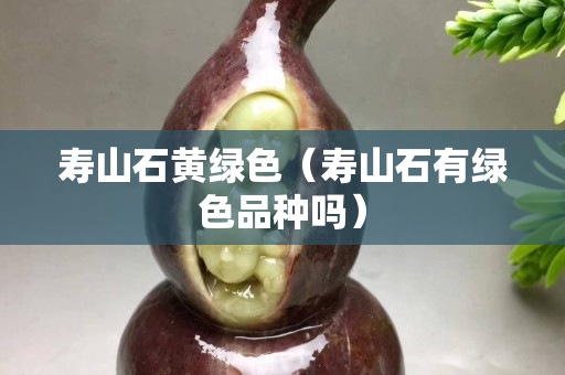 壽山石黃綠色（壽山石有綠色品種嗎）
