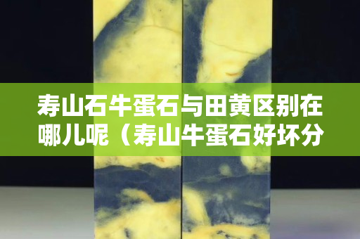 壽山石牛蛋石與田黃區(qū)別在哪兒呢（壽山牛蛋石好壞分辨）