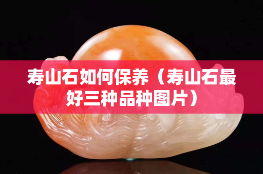 壽山石如何保養（壽山石最好三種品種圖片）