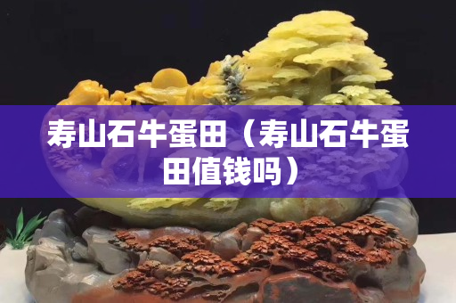 壽山石牛蛋田（壽山石牛蛋田值錢嗎）