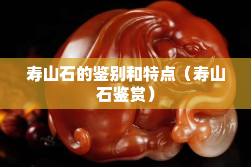 壽山石的鑒別和特點（壽山石鑒賞）